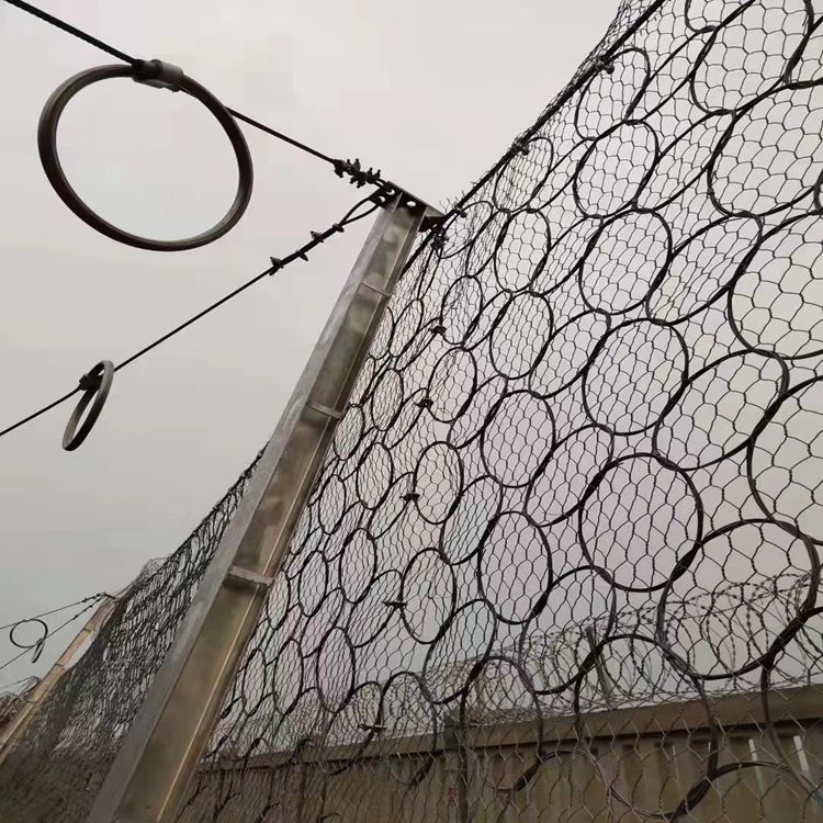 草莓看视频在线观看免费图片3