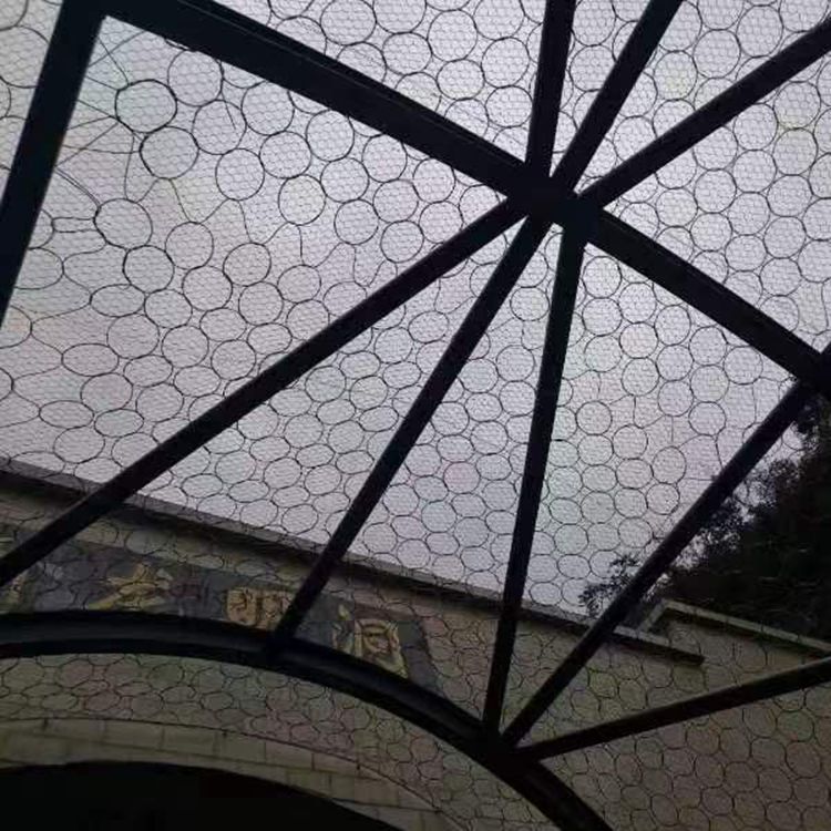 草莓看视频在线观看免费图片4
